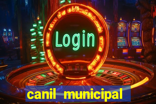 canil municipal porto alegre